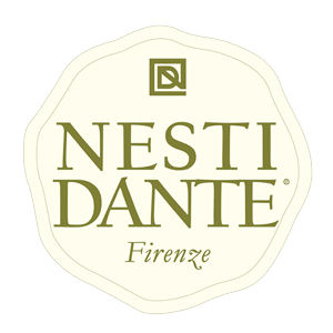 logo nestidante