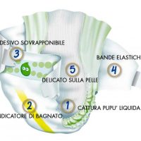 pillo info premium